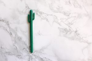 Cactus pen